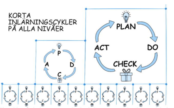 Korta inlärningscykler
