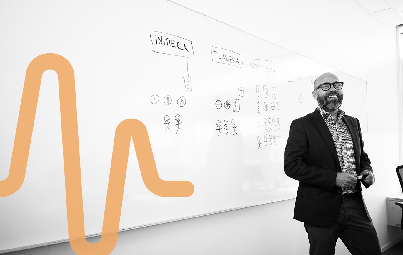 Ledarskap i IT-projekt