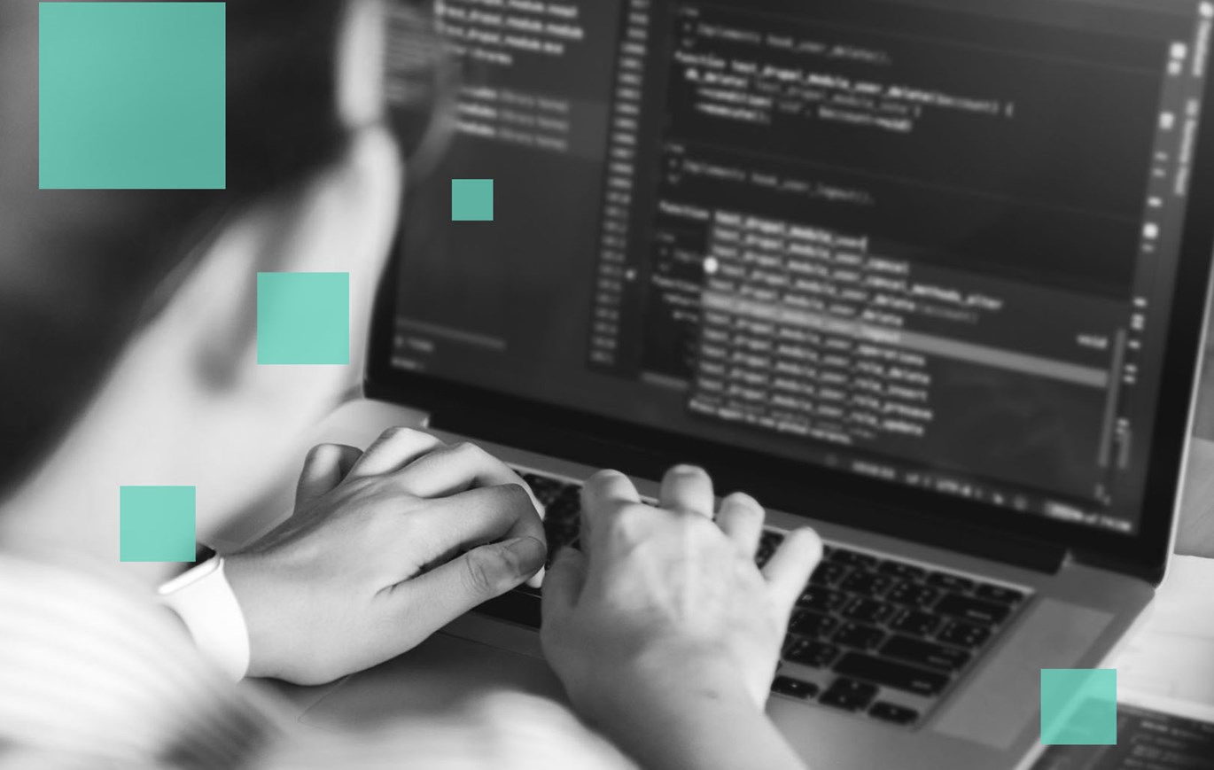 Microsoft Power Platform Developer